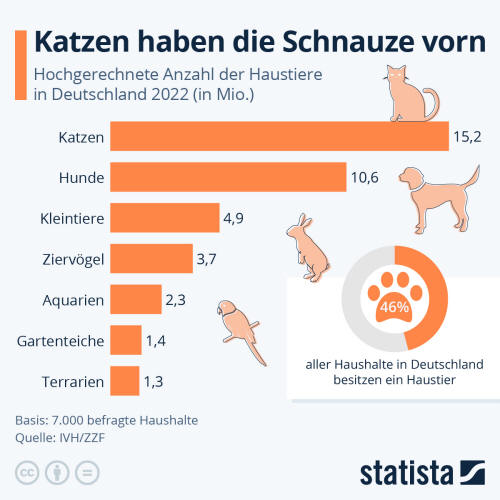 Infografik: Katzen haben die Schnauze vorn | Statista