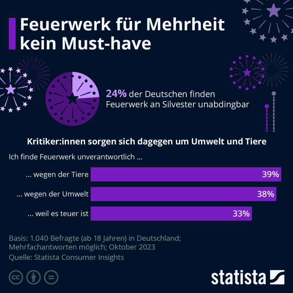 Infografik: Können Sie sich Silvester ohne Feuerwerk vorstellen? | Statista