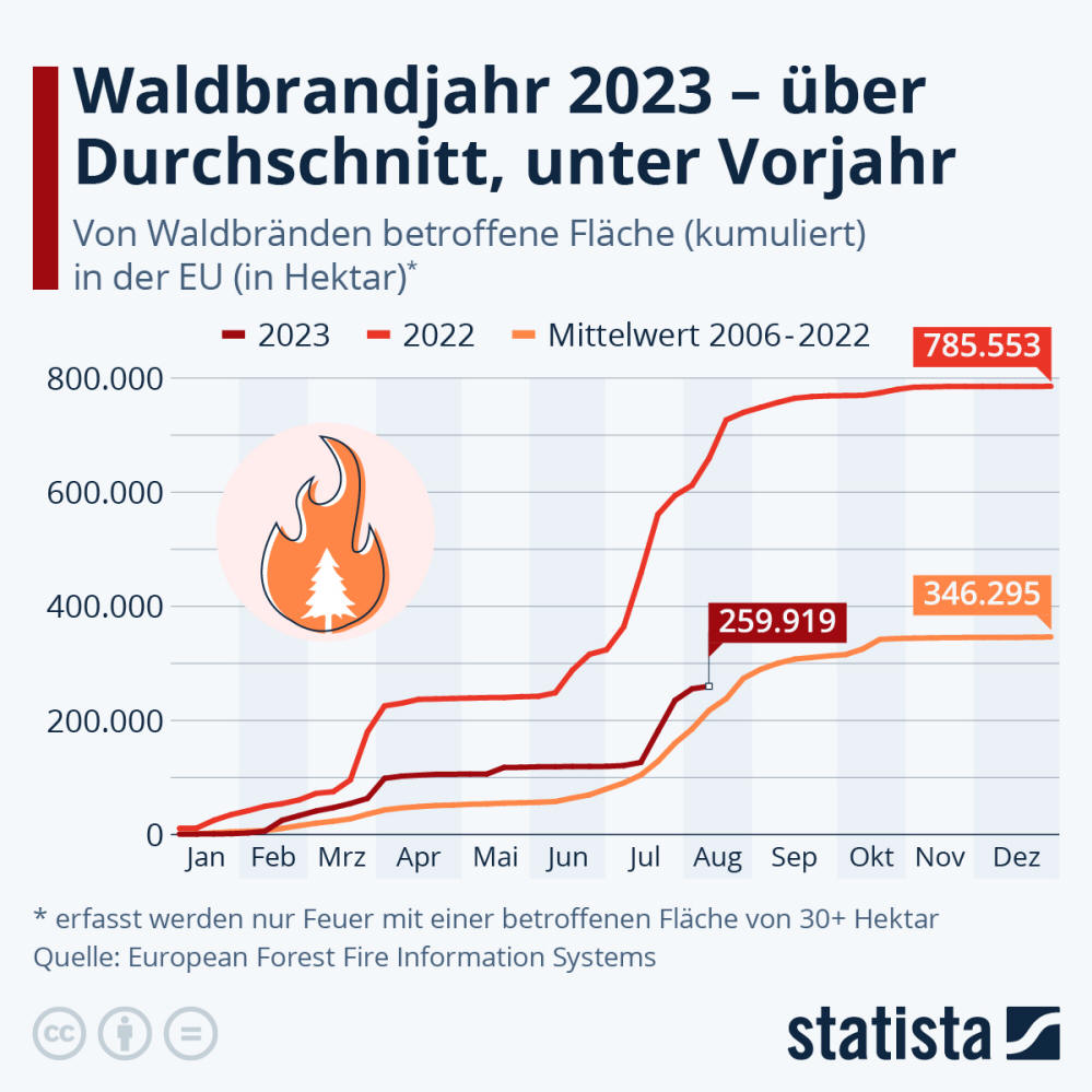 Infografik: Waldbrände 2023 - überdurchschnittlich, aber unter Vorjahr | Statista