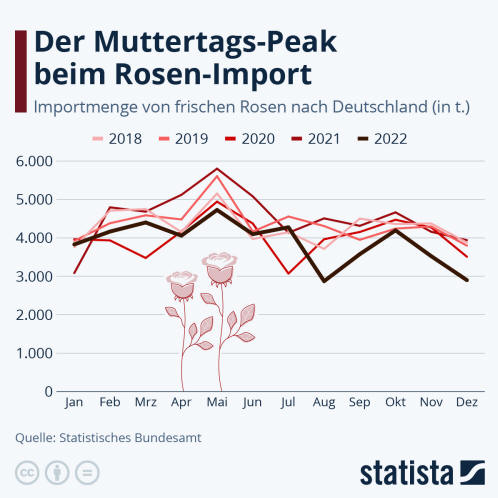 Infografik: Der Muttertags-Peak beim Rosen-Import | Statista