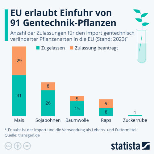 Infografik: EU erlaubt Einfuhr von 91 Gentechnik-Pflanzen | Statista