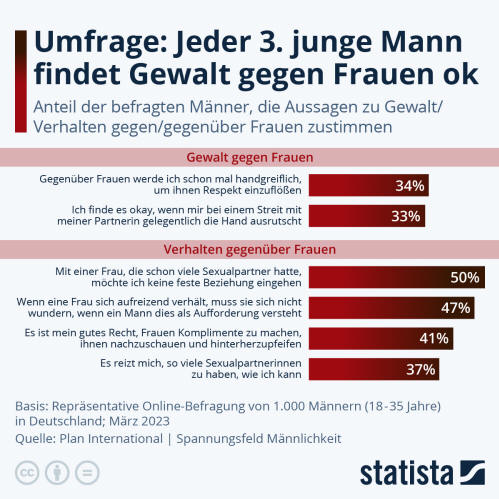 Infografik: Umfrage: Jeder 3. junge Mann findet Gewalt gegen Frauen ok | Statista