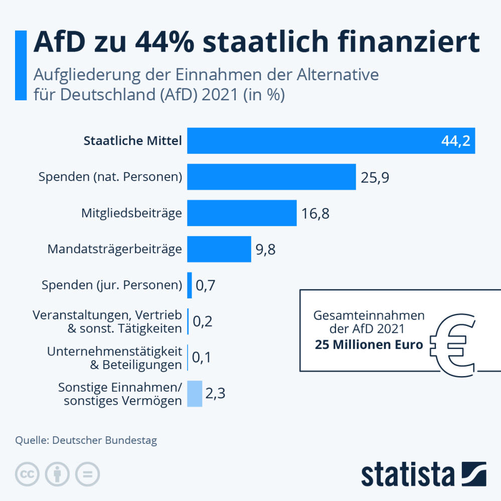 Infografik: Wie wichtig sind staatliche Mittel für die AfD? | Statista