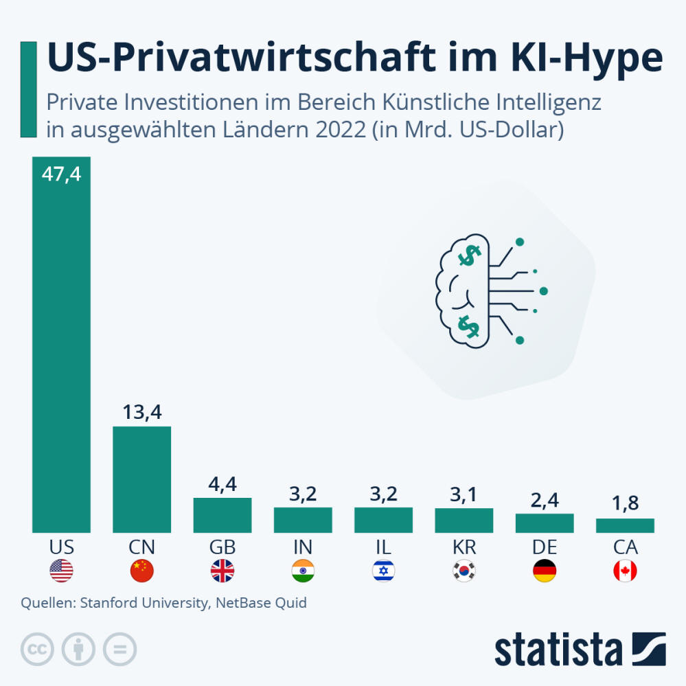 Infografik: US-Privatwirtschaft im KI-Hype | Statista