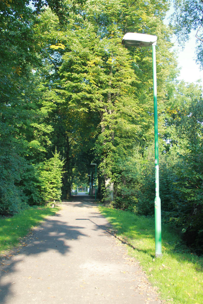 LUNGE testet: Mit Lauflicht sicher im Dunkeln Laufen – Lunge Der Laufladen