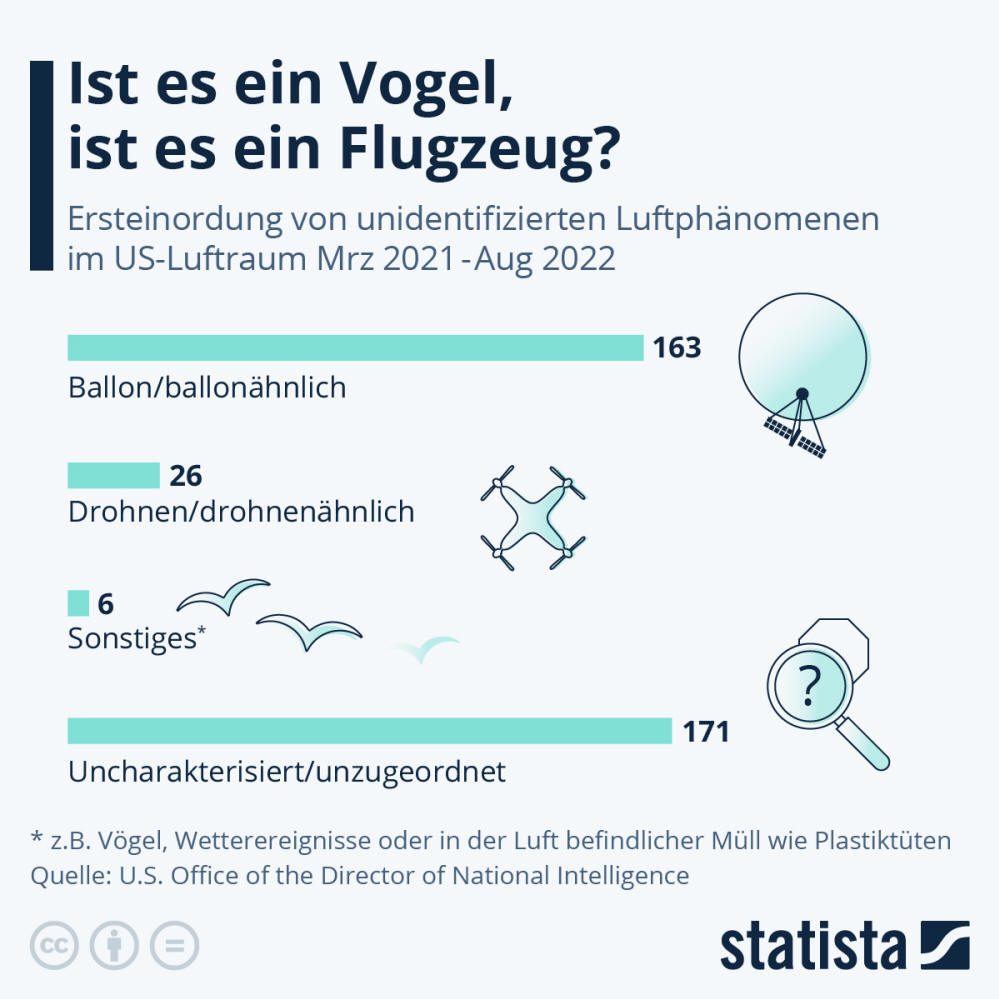 Infografik: Ist es ein Vogel, ist es ein Flugzeug? | Statista